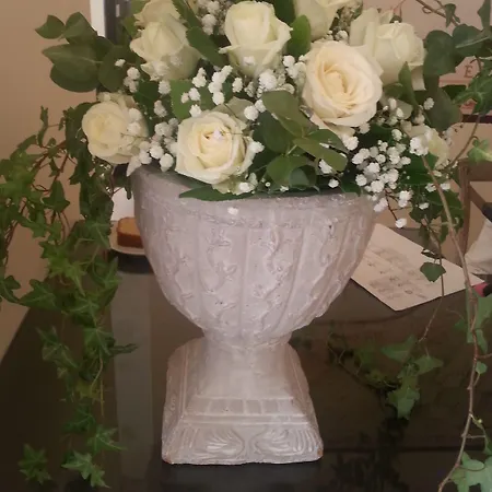 Ionia شقة فندقية 4*